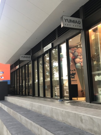 Yumiao Cat Cafe Review